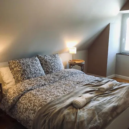 Le Petit Bourdieu - Sanglier Apartment Jurancon
